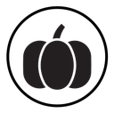 Pumpkin icon