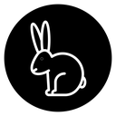 Rabbit icon