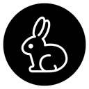 Rabbit icon
