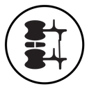 Radiculopathy radicular syndrome icon