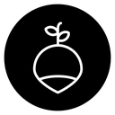 Radish icon