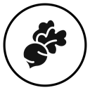 Radish icon