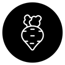 Radish 2 icon