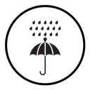 Rainy weather icon