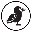 Raven icon