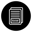 Raw data icon