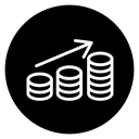 Revenue icon
