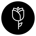 Rose icon