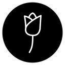 Rose 2 icon