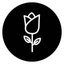 Rose icon
