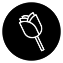 Rose 2 icon