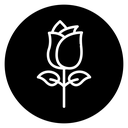 Rose Bloom Black Filled icon
