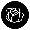 Rose flower icon