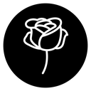 Rose flower icon