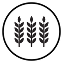Rye icon