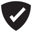 Safe Black Filled icon