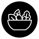 Salad icon
