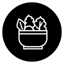 Salad 2 icon