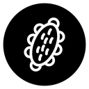 Sea cucumber icon