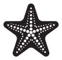 Sea star icon