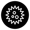Sea urchin icon