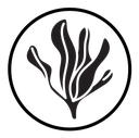 Seaweed icon