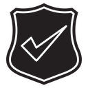 Shield check icon