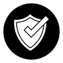 Shield check icon