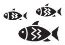 Shoal icon