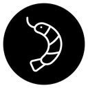 Shrimp icon