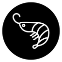Shrimp icon
