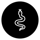 Snake 2 icon