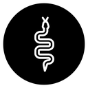 Snake icon