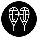 Snowshoes icon