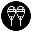 Snowshoes icon