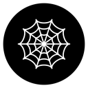 Spider web icon