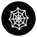 Spider web icon