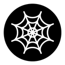 Spider web icon