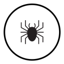 Spider icon