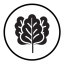 Spinach icon