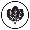 Spinach icon