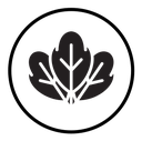 Spinach icon