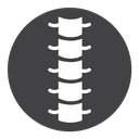 Spinal column Black Filled icon
