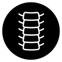 Spinal column icon