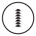 Spinal column icon