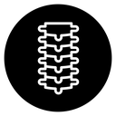 Spine icon