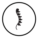Spine icon