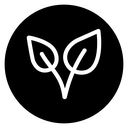 Sprout Leaves icon