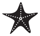 Starfish icon