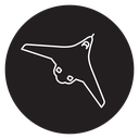 Stealth plane icon